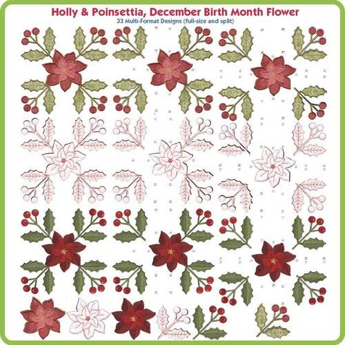 Holly and Poinsettia December Birth Month Flower by Lindee Goodall